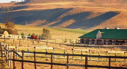 4 - 8 Jun at Midlands Saddle and Trout, 1BR/sleeps 4