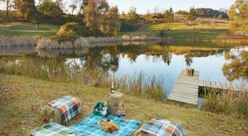 4 - 8 Jun at Midlands Saddle and Trout, 1BR/sleeps 4