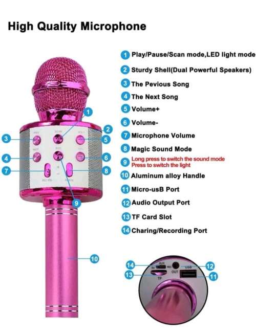 Wireless Mic With Recording Toy for Kids