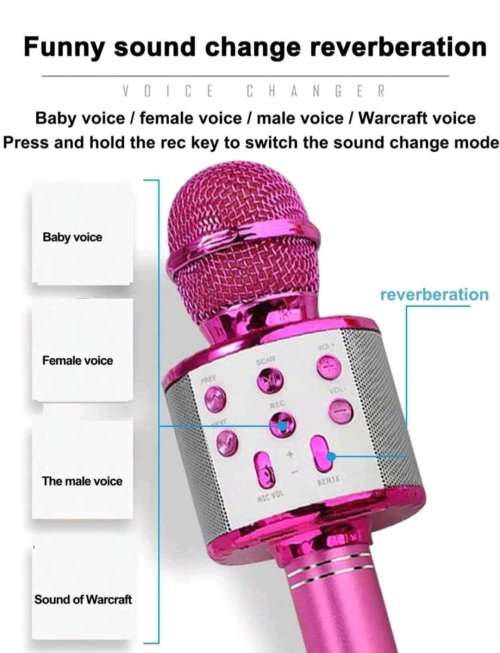 Wireless Mic With Recording Toy for Kids