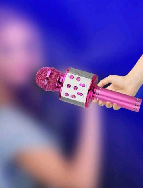 Wireless Mic With Recording Toy for Kids