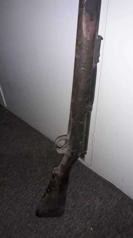 old 1901 gun 303