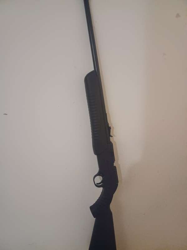 Daisy Powerline 901 Air Rifle - 4.5mm, Dual Ammo With Scope