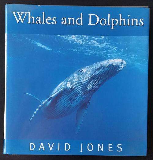 Whales and Dolphins, David Jones a beautiful glossy coffee table book