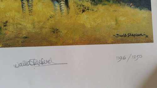 David Shepherd O.B.E. - Mountain Zebra: A Vision in Black and White - Signed Limited Print