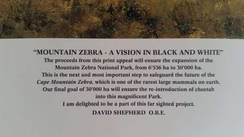 David Shepherd O.B.E. - Mountain Zebra: A Vision in Black and White - Signed Limited Print