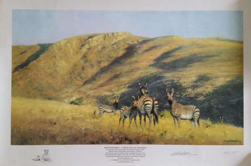 David Shepherd O.B.E. - Mountain Zebra: A Vision in Black and White - Signed Limited Print