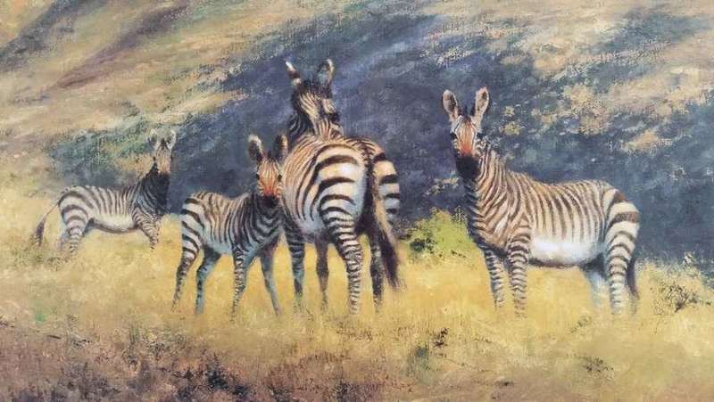 David Shepherd O.B.E. - Mountain Zebra: A Vision in Black and White - Signed Limited Print
