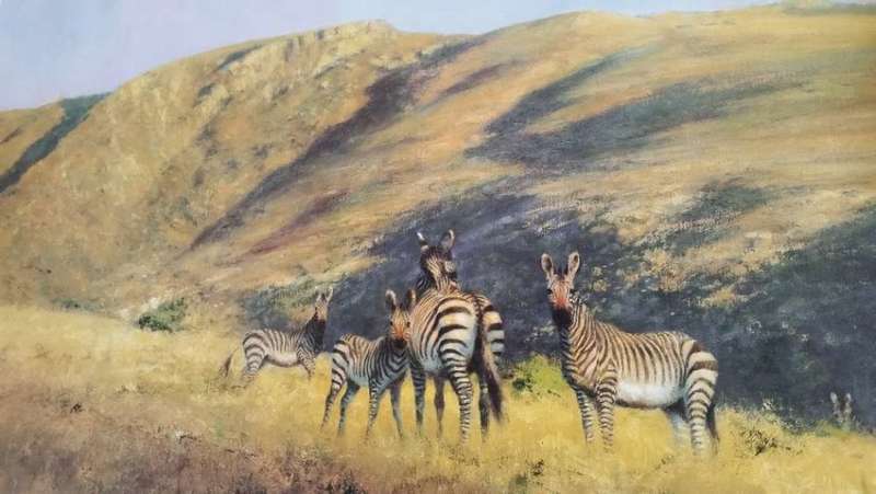 David Shepherd O.B.E. - Mountain Zebra: A Vision in Black and White - Signed Limited Print