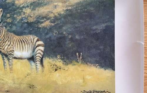 David Shepherd O.B.E. - Mountain Zebra: A Vision in Black and White - Signed Limited Print