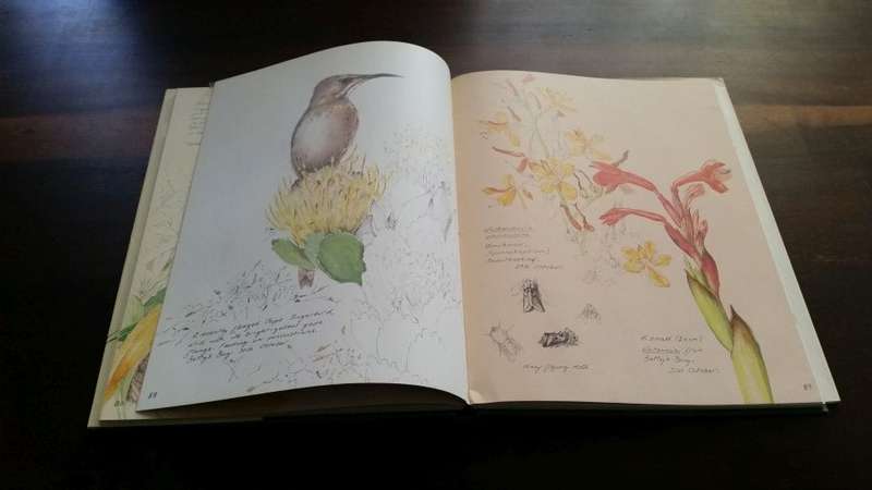 A Fynbos Year - McMahon, Fraser, 1988 1st Edition HC - Beautifully Illustrated