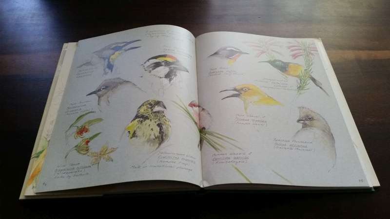 A Fynbos Year - McMahon, Fraser, 1988 1st Edition HC - Beautifully Illustrated