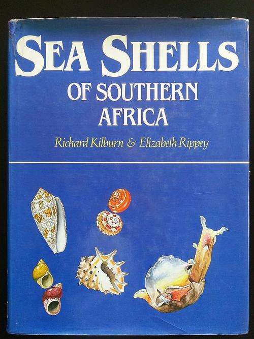 Sea Shells of Southern Africa Killburn & Rippey Large Format Beautiful Book 1st Edition