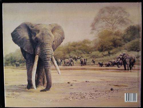 Elephants of Africa Paul Bosman Anthony Hall-Martin 1st Edition
