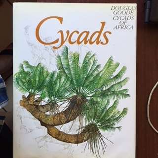 CYCADS DOUGLAS GOODE