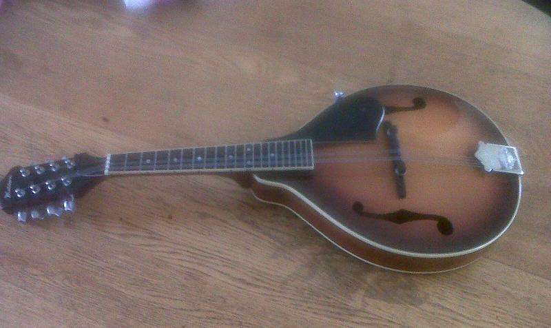 The George Washburn M1S Mandolin is a handcrafted solid spruce top mandolin that delivers resonance,