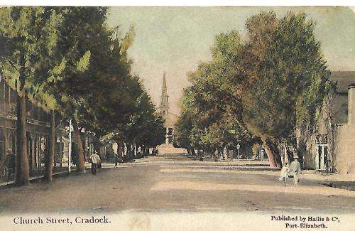 Church Street Cradock postcard