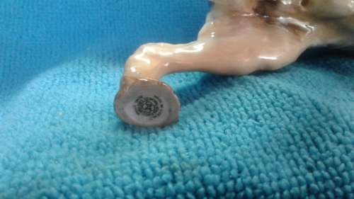 Royal Doulton Dog