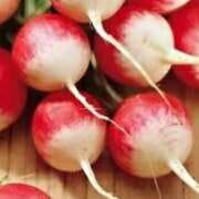 Radish `sparkler` - 200 seeds