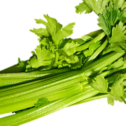 Utah celery - 100 seeds