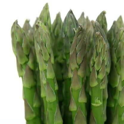 Asparagus `mary washington` - 10 seeds