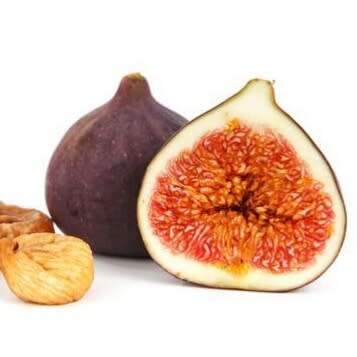 Fig (Ficus Carica) - 50 seeds