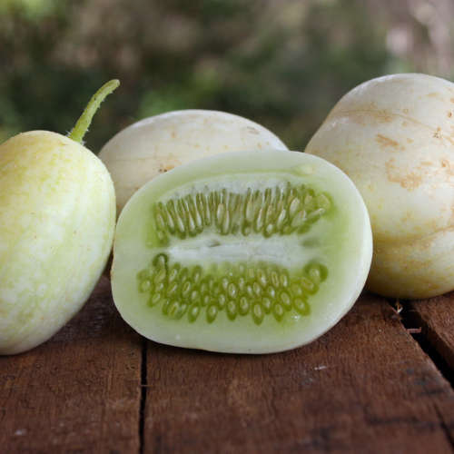 Cucumber `crystal apple` - 10 seeds