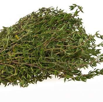 Thyme - 100 seeds