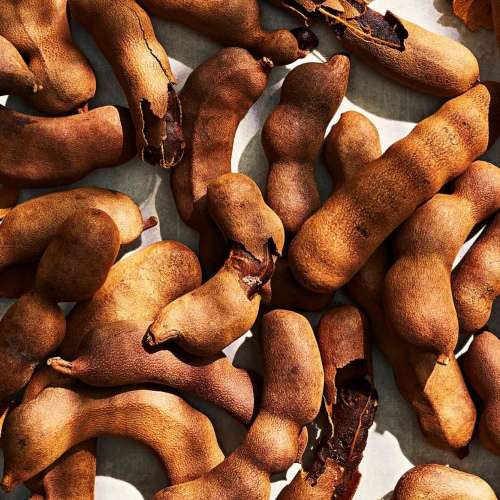 Tamarind - 10 seeds