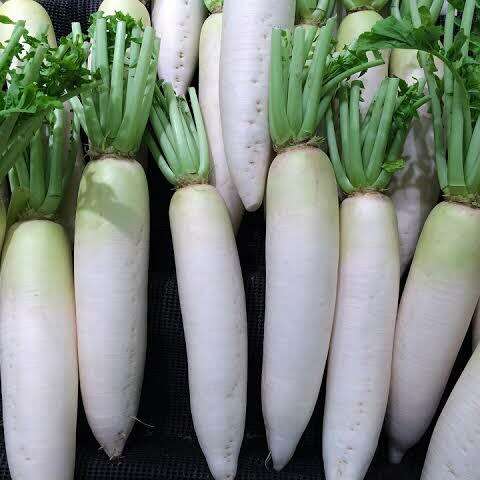 Daikon (Japanese radish) - 100 seeds