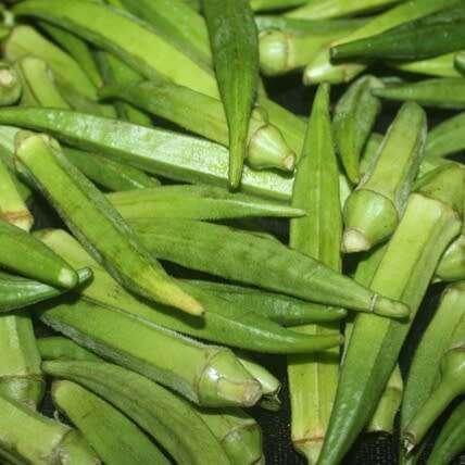 Okra `clemson spineless` - 50 seeds