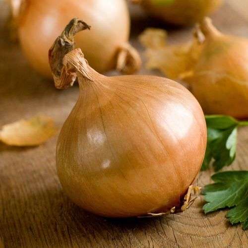 Onion `texas grano` - 250 seeds