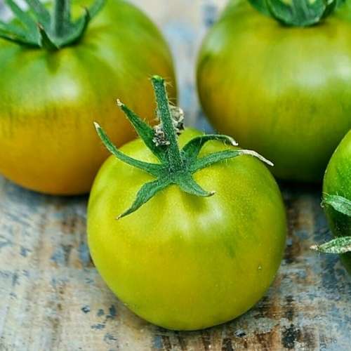 Tomato `lime green` - 25 seeds