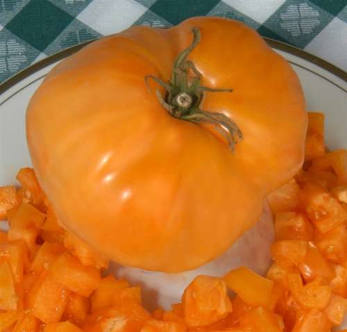 Tomato `dixie golden giant` - 25 seeds