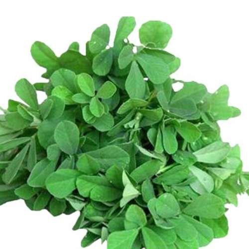 Fenugreek - 500 seeds