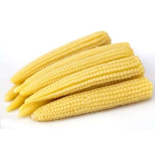 Chires baby sweet corn - 15 seeds