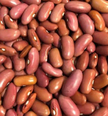 Light red kidney bean - 15 seeds