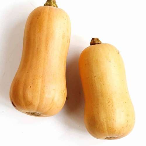Butternut - 25 seeds