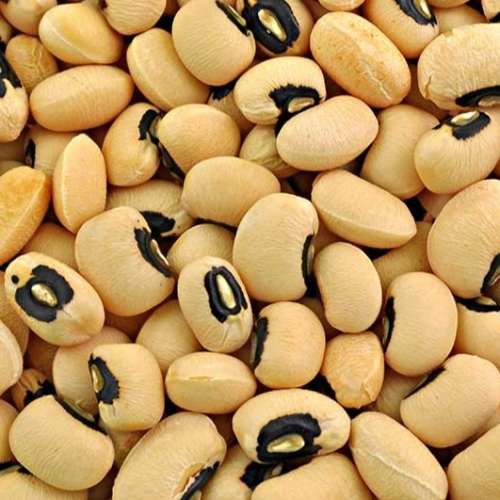 Black eyed bean - 25 seeds