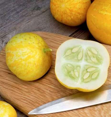 Lemon cucumber - 5 seeds