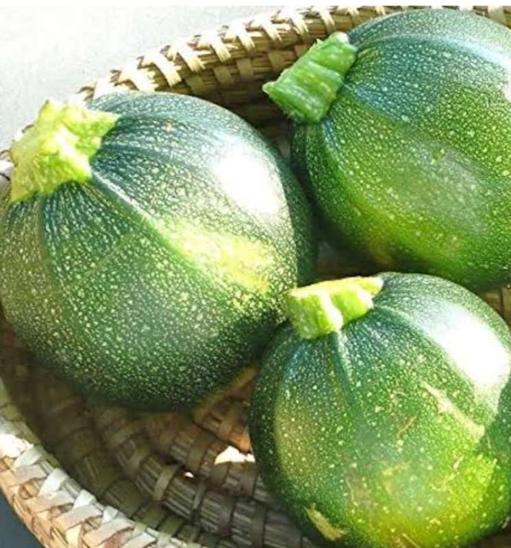 Round zucchini - 10 seeds