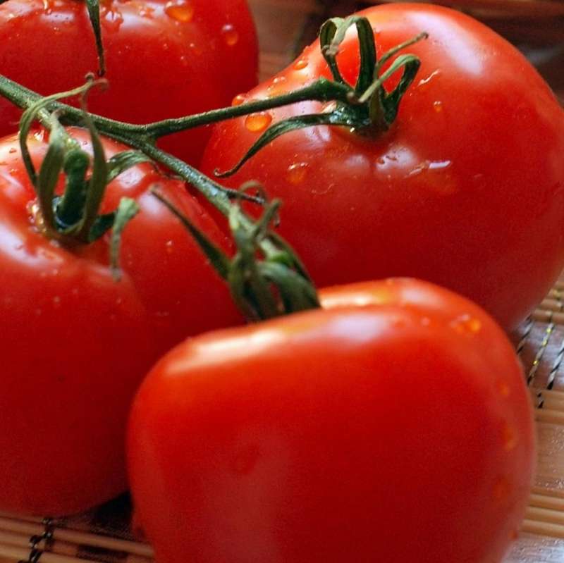 Tomato 'Heinz' - 100 seeds