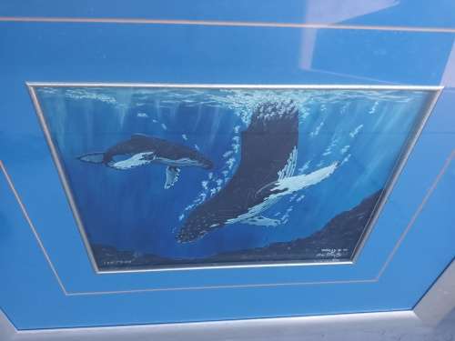 Robert W. Harley Dolphins Print