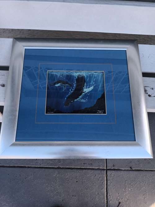 Robert W. Harley Dolphins Print