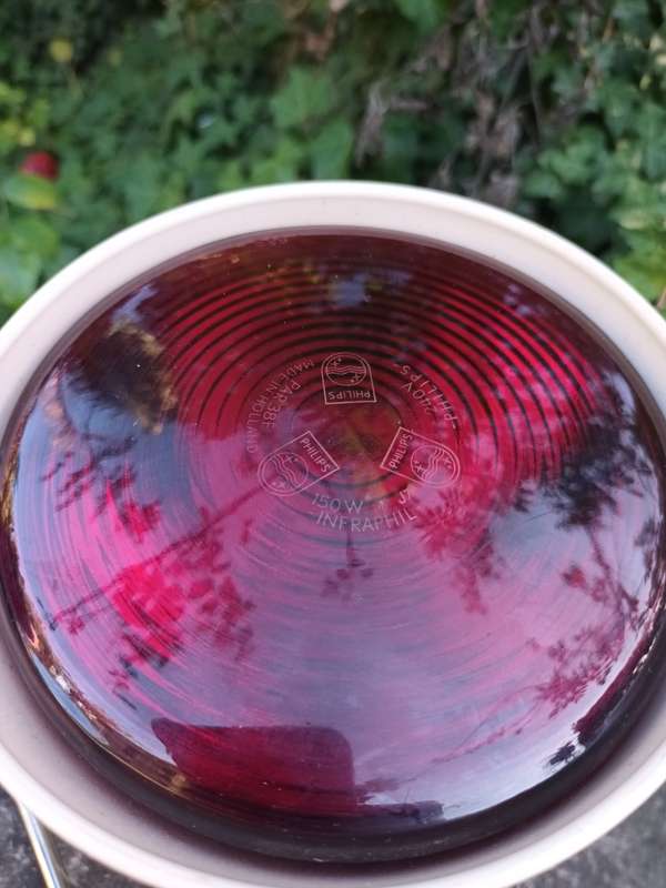 Vintage Infrared Philips HP 3603 Heat Lamp Made In Holland