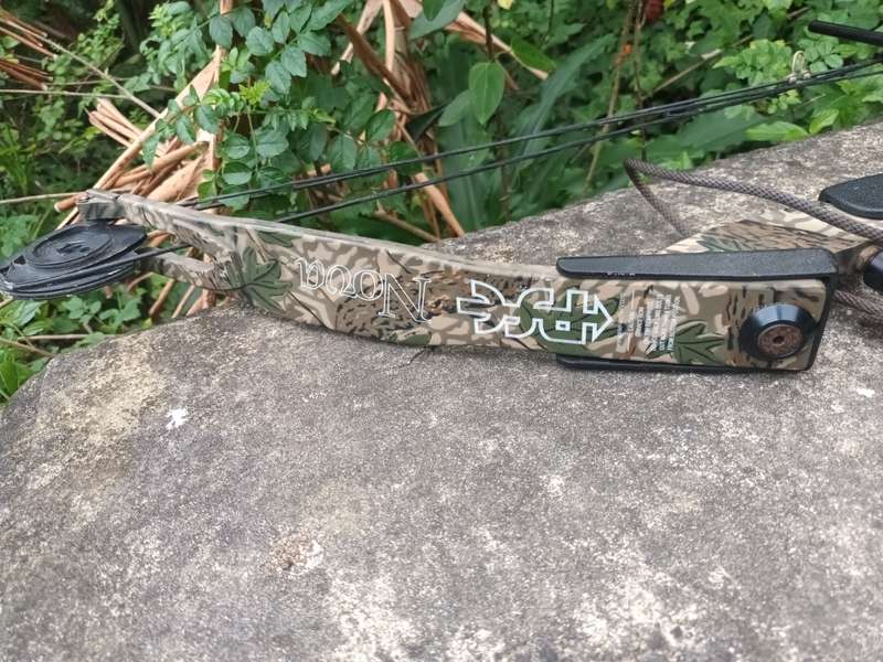 PSE Nova Compound Bow, Camo