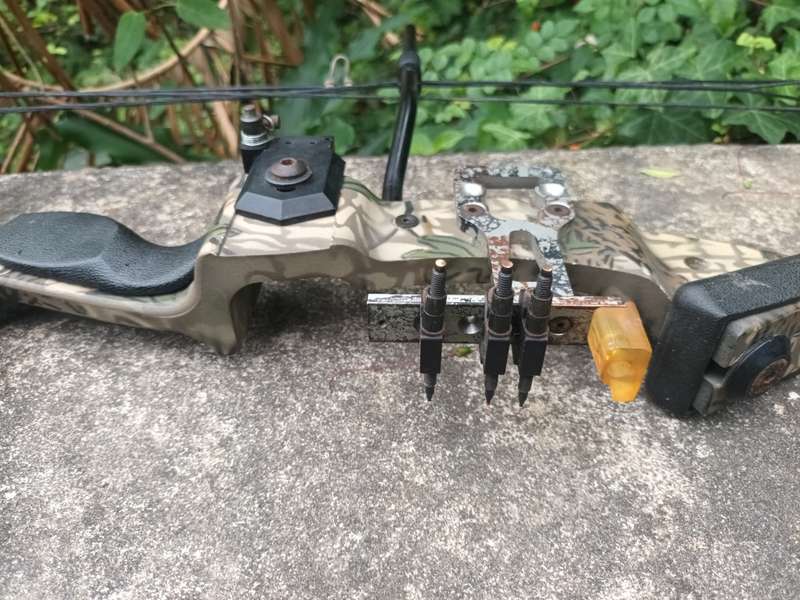 PSE Nova Compound Bow, Camo
