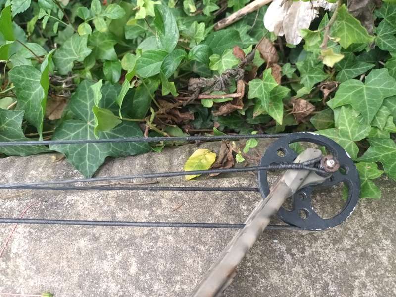 PSE Nova Compound Bow, Camo