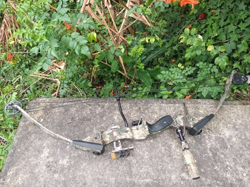 PSE Nova Compound Bow, Camo