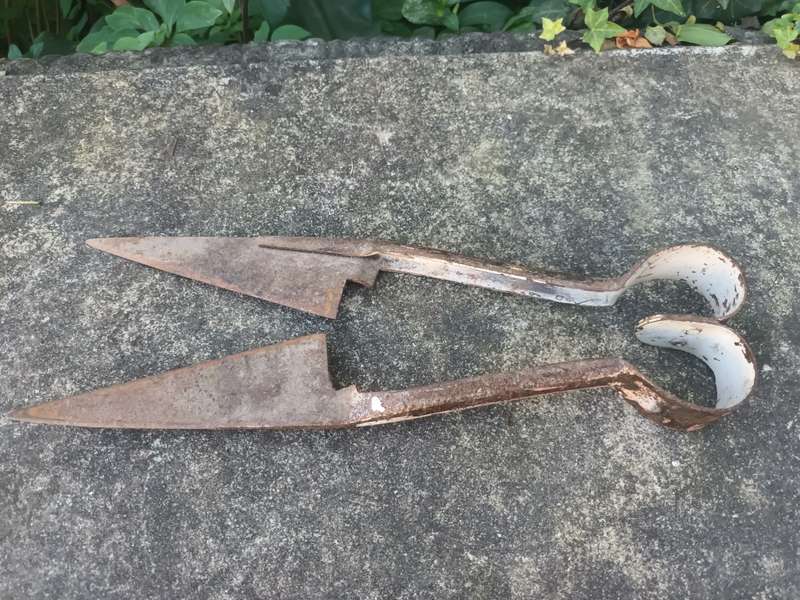 ANTIQUE Sheep Shears